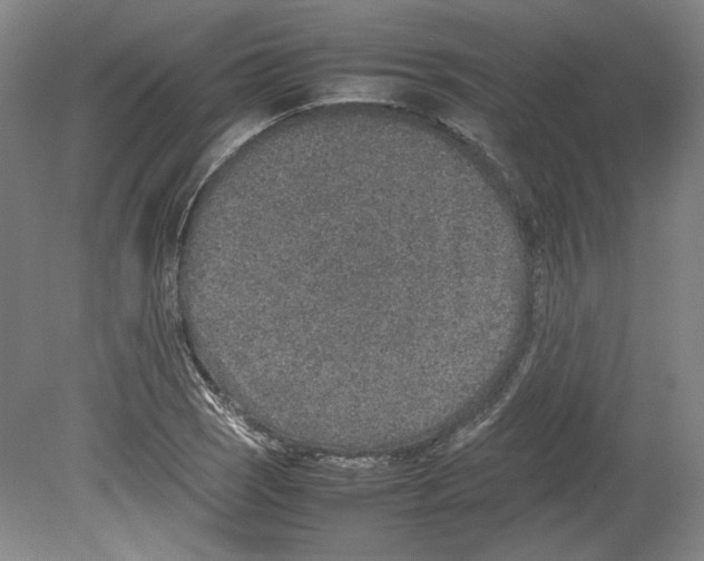 X0000080141121200701051506