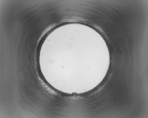 X0000080141122200701051506
