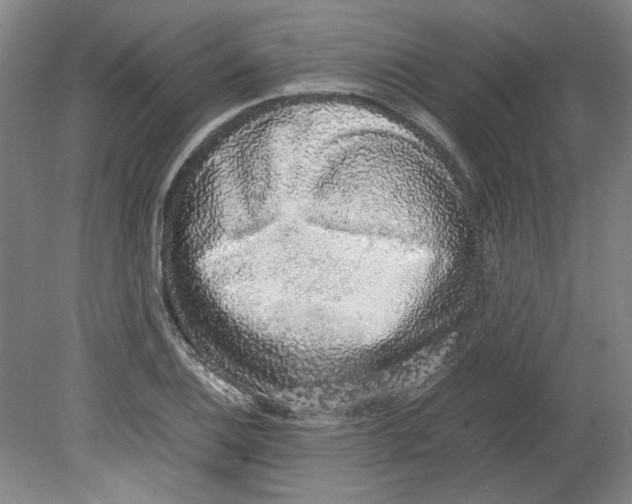 X0000080141124200701051506