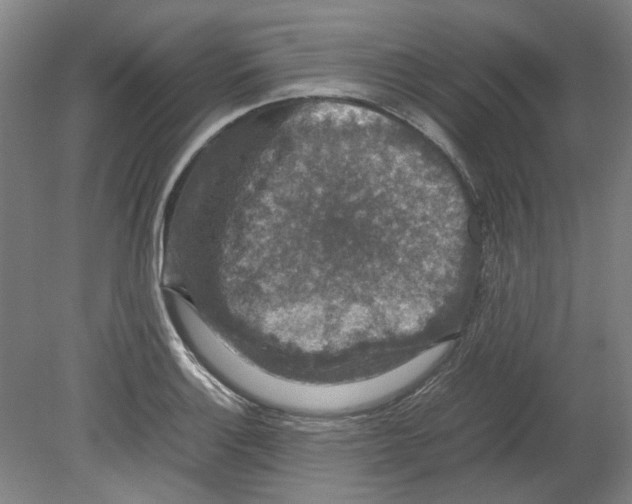 X0000080141132200701051506