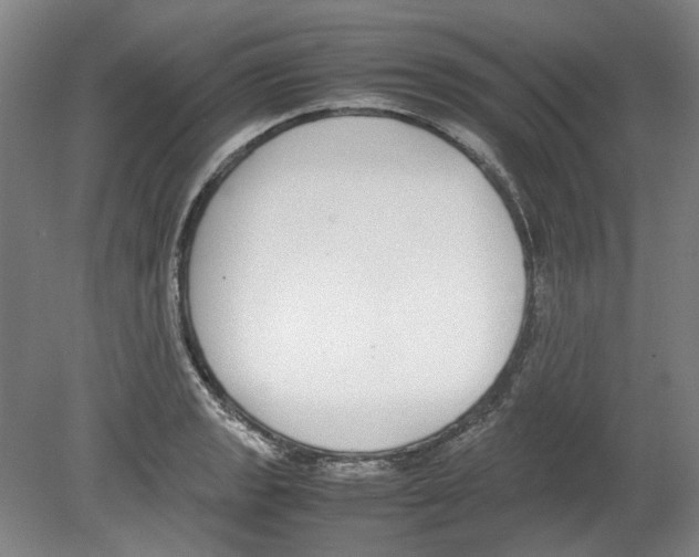 X0000080141133200701051506
