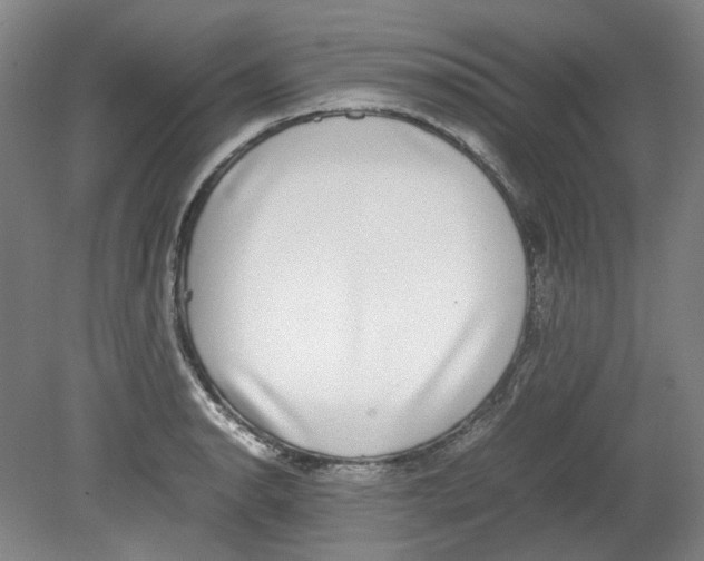 X0000080141134200701051506