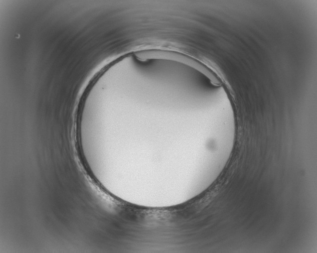X0000080141136200701051506