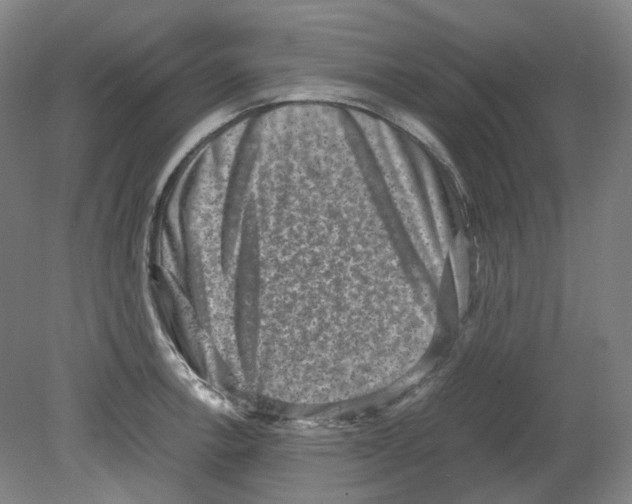 X0000080141138200701051506