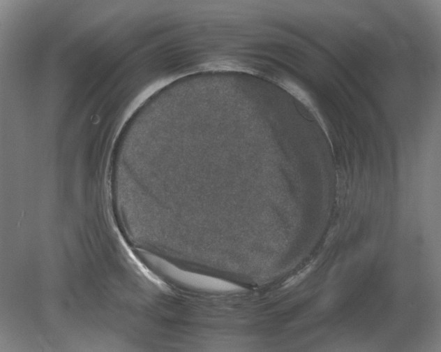 X0000080141141200701051507