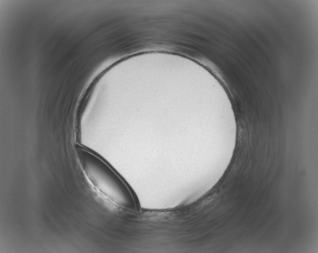 X0000080141143200701051507