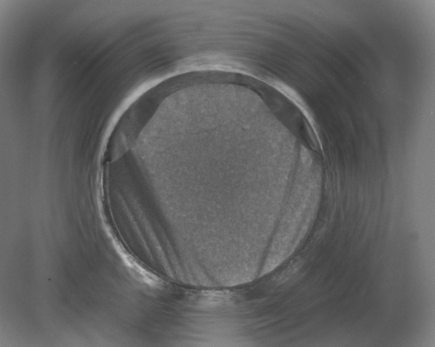 X0000080141144200701051507