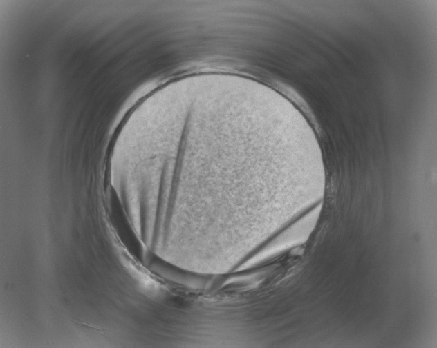 X0000080141146200701051507