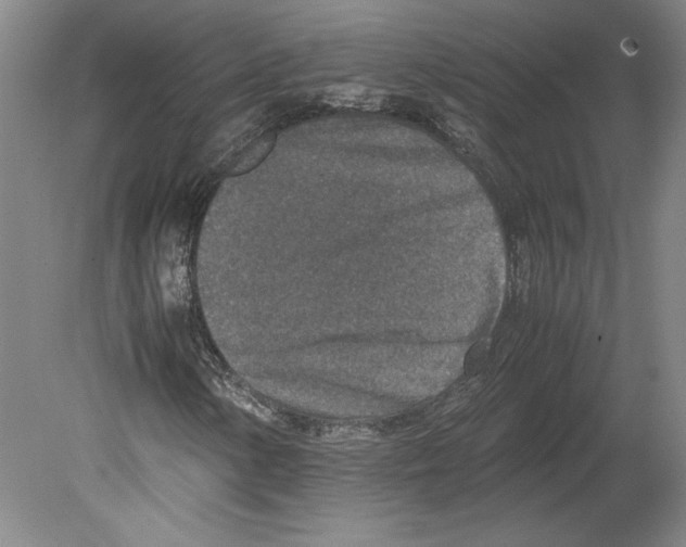 X0000080141154200701051506