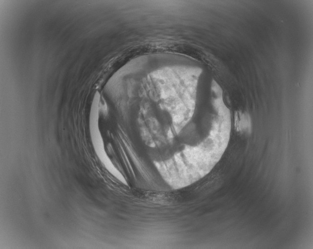 X0000080141155200701051506