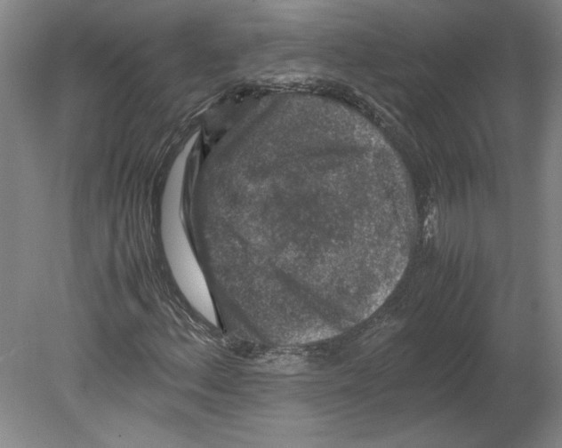 X0000080141156200701051506