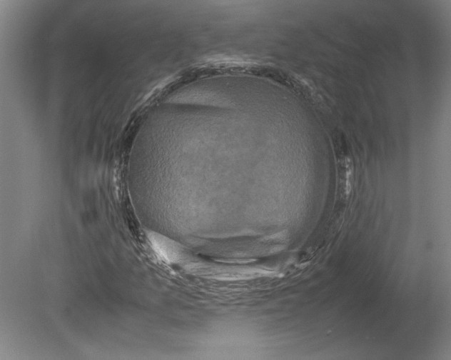 X0000080141157200701051506