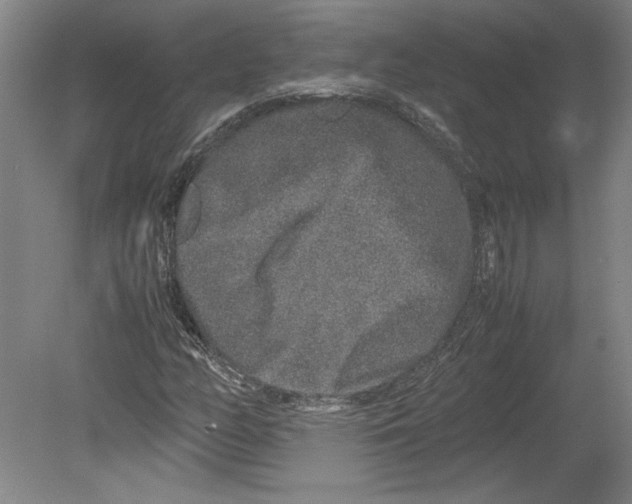 X0000080141158200701051506