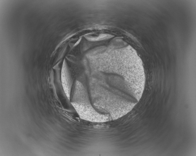 X0000080141160200701051506