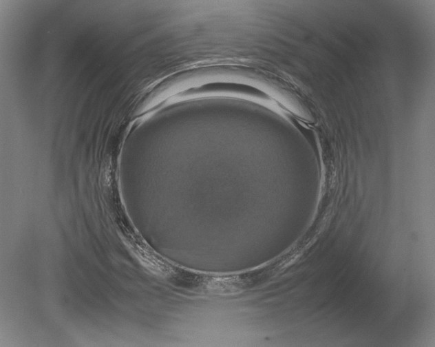 X0000080141161200701051506