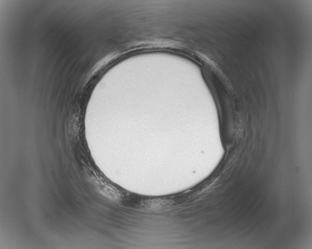 X0000080141163200701051506