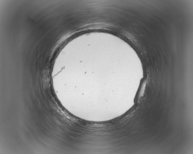 X0000080141164200701051506