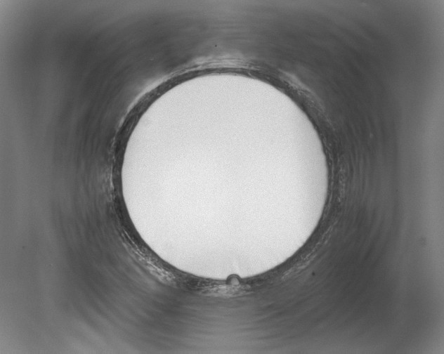 X0000080141166200701051506