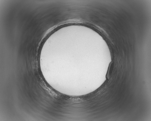 X0000080141168200701051506