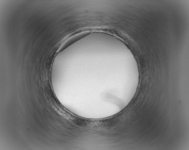 X0000080141169200701051506