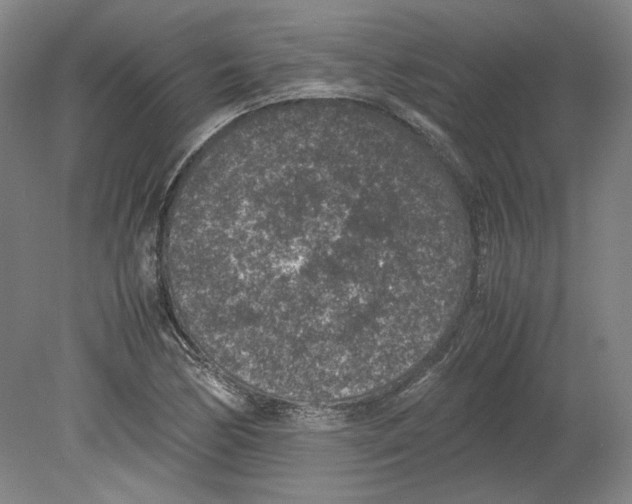 X0000080141170200701051506