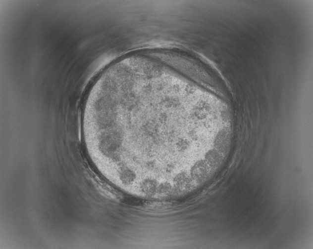 X0000080141171200701051506