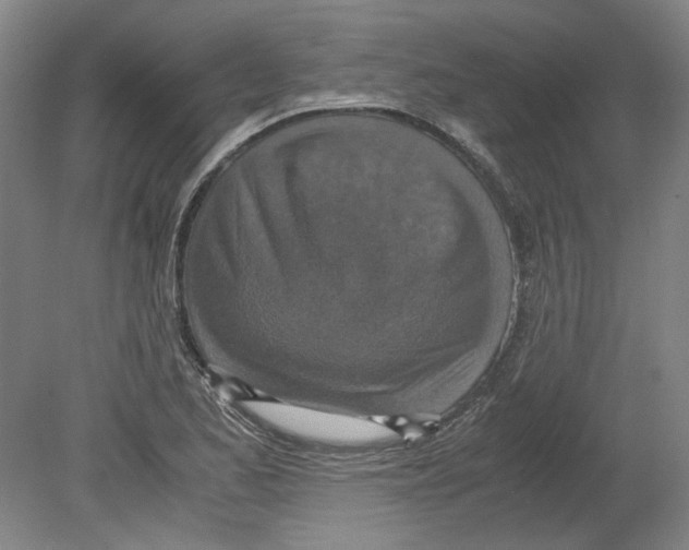X0000080141173200701051506