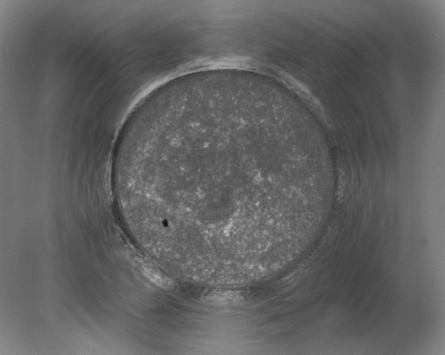 X0000080141174200701051506