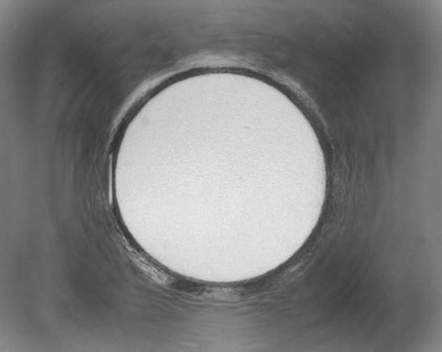 X0000080141175200701051506