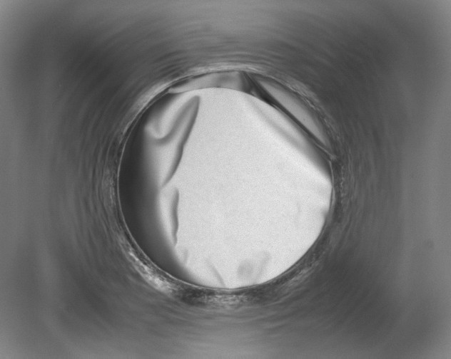 X0000080141177200701051506