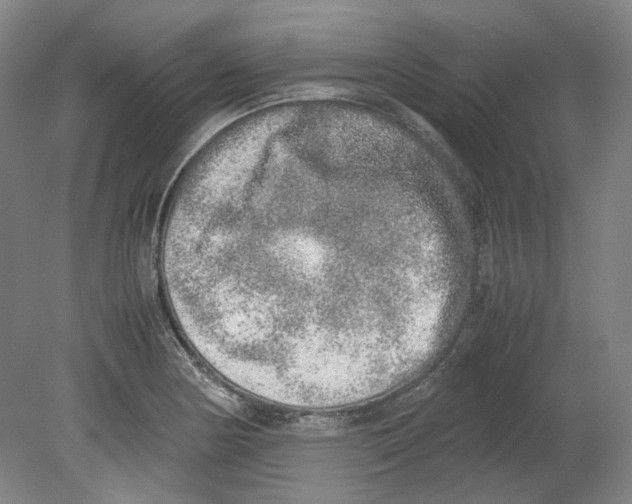 X0000080141178200701051505