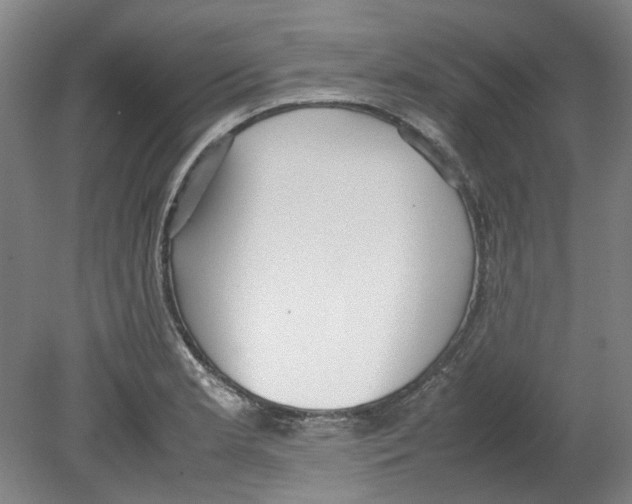 X0000080141181200701051505