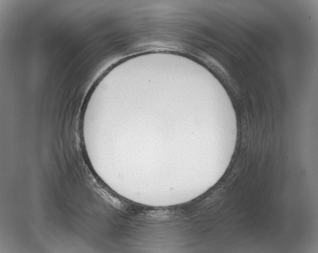 X0000080141182200701051505