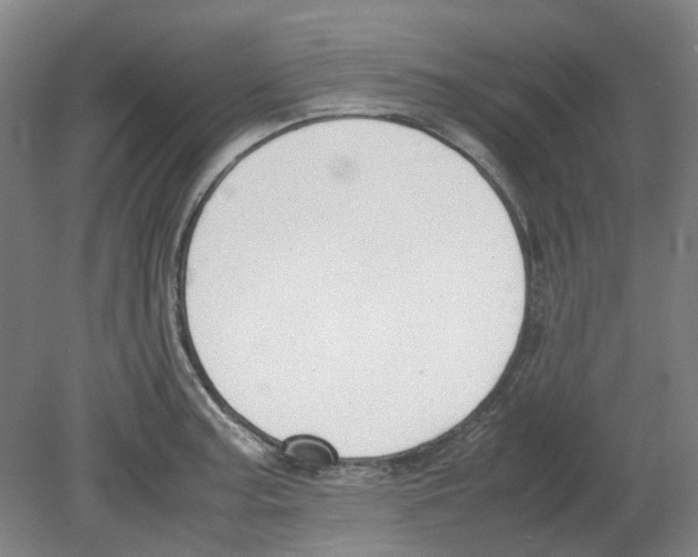 X0000080141187200701051505