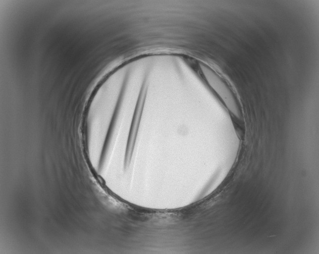 X0000080141189200701051505