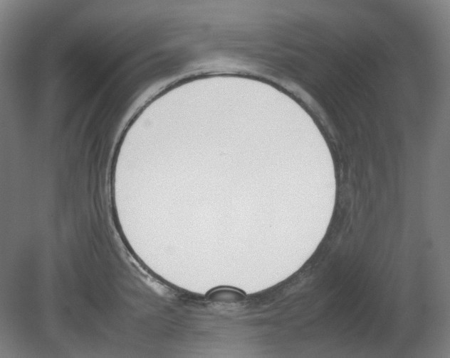 X0000080141191200701051505