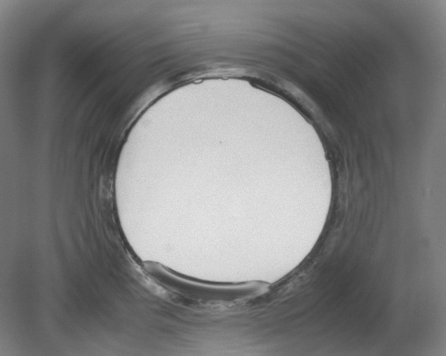 X0000080141193200701051505