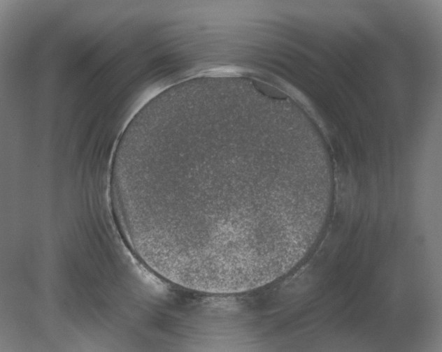 X0000080141194200701051505