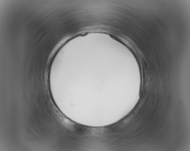 X0000080141196200701051505