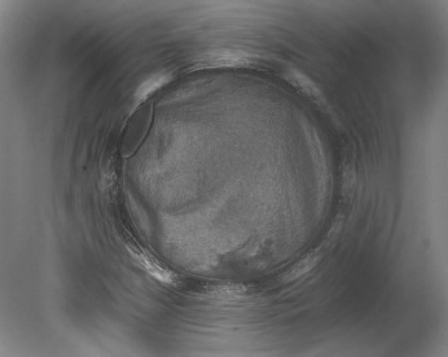X0000080141210200701051504