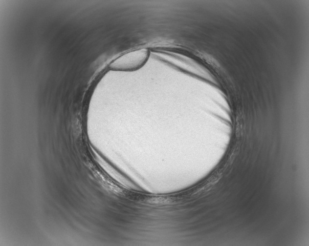 X0000080141212200701051504