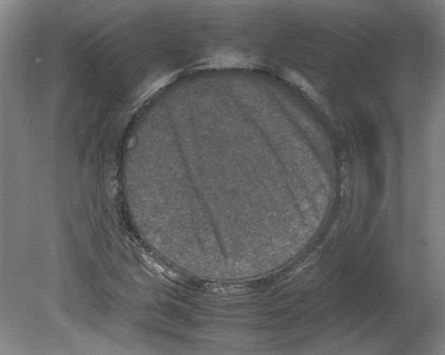 X0000080141213200701051505