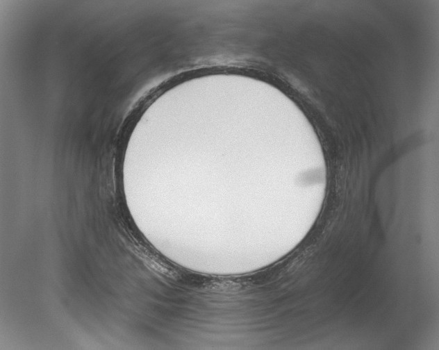 X0000080141214200701051505