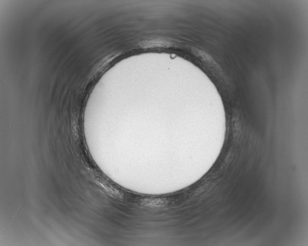 X0000080141217200701051505
