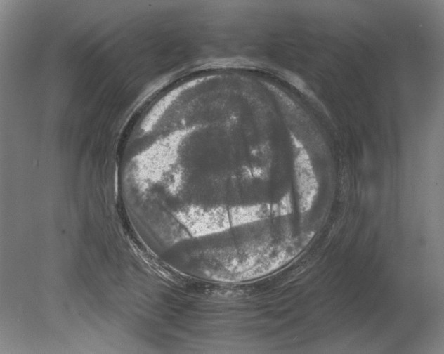 X0000080141221200701051505