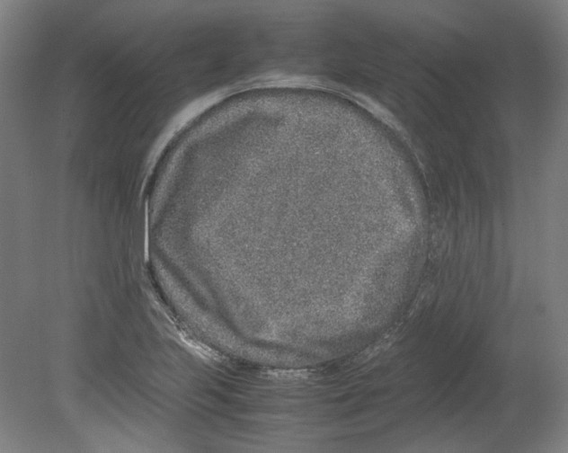 X0000080141223200701051505