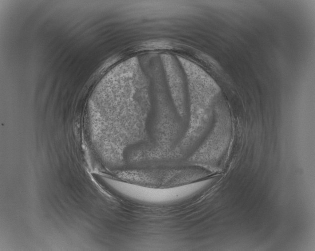 X0000080141225200701051505