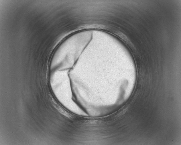 X0000080141228200701051505