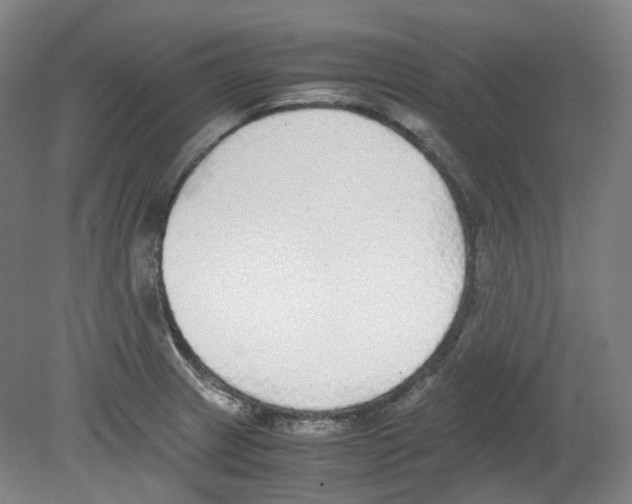 X0000080141233200701051505