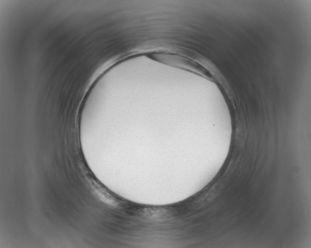 X0000080141242200701051505